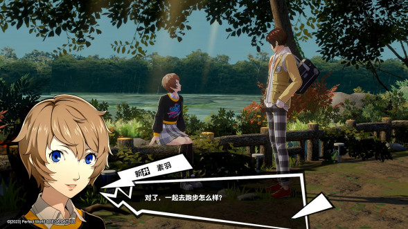 Persona 5 Royal [Nintendo Switch, английская версия] в Туле