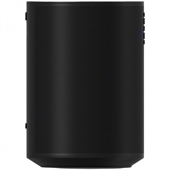 Умная колонка Sonos Era 100, черный в Туле
