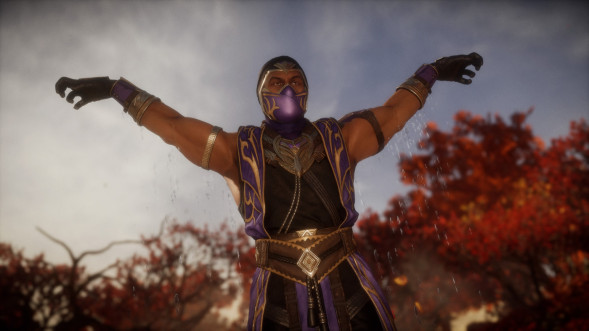 Mortal Kombat 11: Ultimate [PS4, русская версия] в Туле