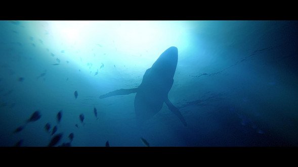 Игра Under The Waves [PS4, русские субтитры] в Туле