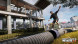 Игра Tony Hawk&amp;#039;s Pro Skater 3+4 [PS5, английская версия] в Туле